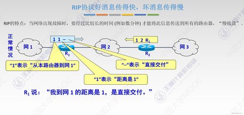 网络层 计算机网络技术开发的基石与核心
