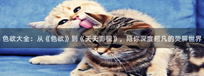 红桃视频电影网