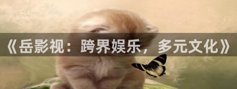 红桃影视免费在线观看：《岳影视：跨界娱乐，多元文化》