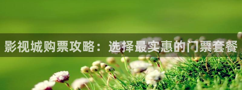 在线观看红桃视频：影视城购票攻略：选择最实惠的门票套餐