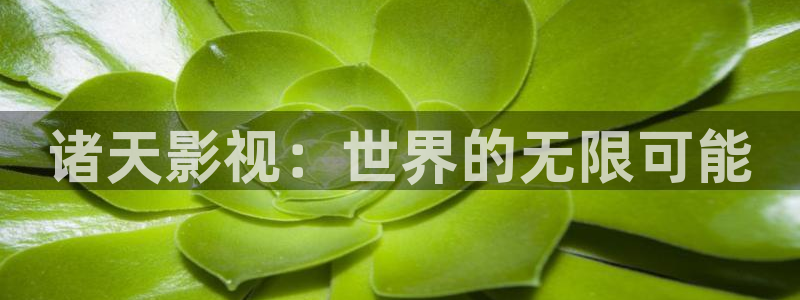 红桃免费高清电影在线观看