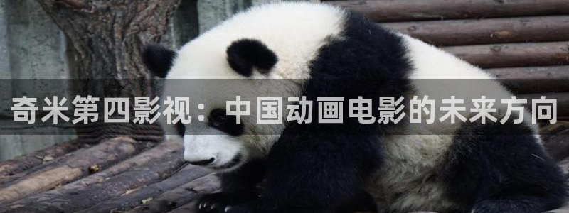 红桃电影院地址：奇米第四影视：中国动画电影的未来方向