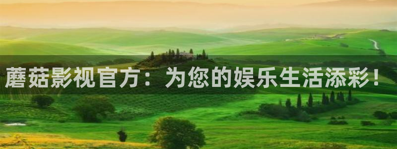 www.红桃：蘑菇影视官方：为您的娱乐生活添彩！