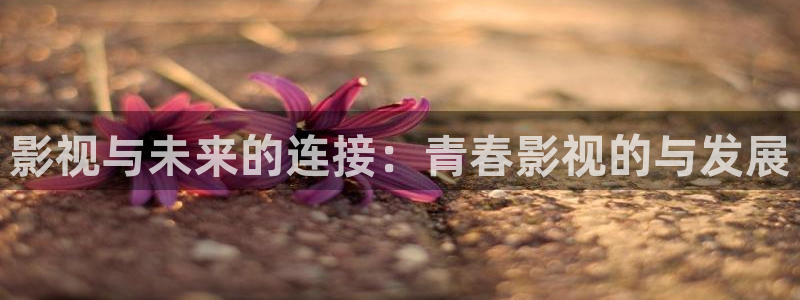 红桃影院免费观看